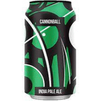 キリン グッドエール リッチ&フルーティ  350