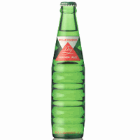 ウィルキンソン ドライジンジャエール瓶 190